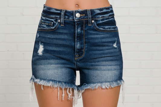 High Rise Raw Edge Denim Shorts